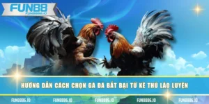Đăng Ký FUN88 - Hướng Dẫn Thao Tác Cực Dễ Dàng Cho Người Mới